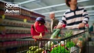 Auchan - Leżak ogrodowy Malwina