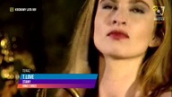 T. Love - Stany