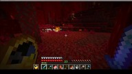 I dont know what conclusions I should draw from this #minecraft #gaming #game #Ghast #Piglins