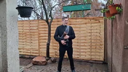 Kanarki i kury * niedzielne śniadanie