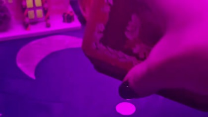 Tygodniówka 2-8 LUTY 