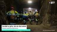 Zarobki w górę, ale nie dla kobiet.  Wszyscy zazdroszczą górnikom [KS Meteo & Business]