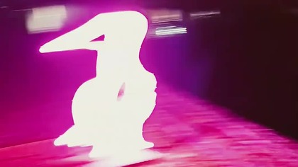 Łabędzie  Neonowe Dekoracje Świąteczne 