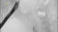 OBCY W LESIE (1972)