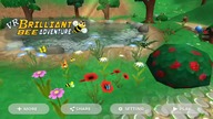 vr Birilliant bee