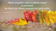 Audycja Wyzwolony - Bill Reeves
