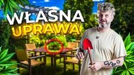 JAK UPRAWIAĆ C8D W DOMU? (Legalna uprawa, pozwolenie, KOWR, odmiany)