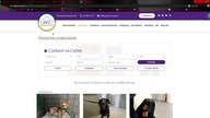 ADOPTCJA PSA CZY KOTA ODCINEK 6