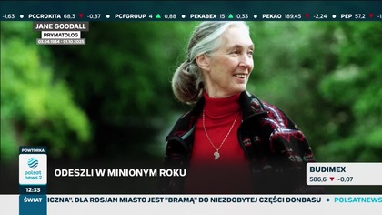 Polsat News 2 - Wspomnienia zmarłych różnych osób w ostatnim roku (02. 11. 2025, 12:31)