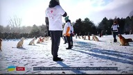 WTK - Nowy ident (2022-)