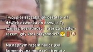 Trening psa na dźwięki dzwonka  
#Psy #TreningPsa #ZachowaniePsa
