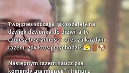 Trening psa na dźwięki dzwonka  
#Psy #TreningPsa #ZachowaniePsa
