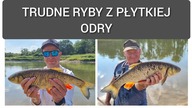 310 FEEDER Z GRABOWSKIM GRZEŚKIEM - TRUDNE RYBY Z PŁYTKIEJ ODRY