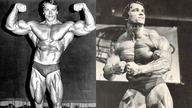 Austryjacki Dąb | Arnold Schwarzenegger