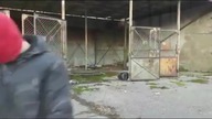 PJ - KOMINIARY (OFFICIAL VIDEO)