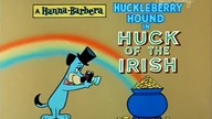 Pies Huckleberry 50 Huck po irlandzku