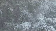 Pójdźmy wszyscy do stajenki   Piękna Polska Kolęda