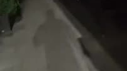 mistrz Piotr bez podatków konsumuje alkohol korupcja Cieszyn restauracja konczakowskich mafia vat