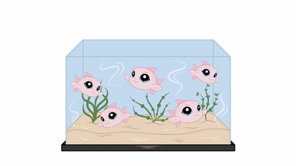 Kupiłam rybki przez internet 