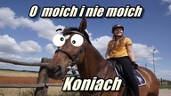 Konie mojego życia