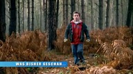 Primeval. S01E02.pl. DVDRip. XViD