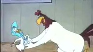 Zwariowane Melodie-Kochliwa Kura