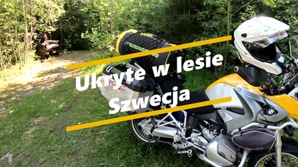 Ukryte w lesie