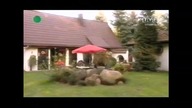 Czerewicz film muzyczny Opera... VID-1715604093292