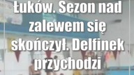 Łuków.  Sezon nad zalewem się skończył.  Delfinek przychodzi z odsieczą