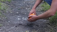 EXPERIMENT FIDGET SPINNER VS Matches