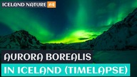 Aurora borealis timelapse in Iceland | Zorza polarna | Iceland nature #4