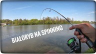 Białoryb na spinning // maj 2022