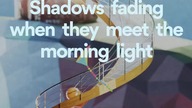 Echo in Dreams 