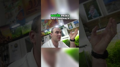  Startujemy akwarium na ziemi  4 lata później 