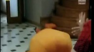 Jesteś moim życiem odc 212