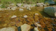Kamienisty leśny strumień &mdash; szum wody do skupienia i nauki