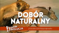 KontrEwolucja dobór naturalny