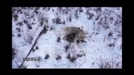 Ja tylko zapytam gdzie są te wielkie serca na czela z Dodą i całą resztą tiktokowych dobroczyńców mp