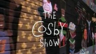 Bill Cosby Show S08E15 - Bring Me the Lip Gloss of Deirdre Arpelle