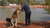 Dookoła świata - e11 - Australia.  Najmniejszy kontynent.  Tajemnicza ziemia Aborygen&oacute;w
