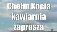 Chełm: Kocia kawiarnia zaprasza