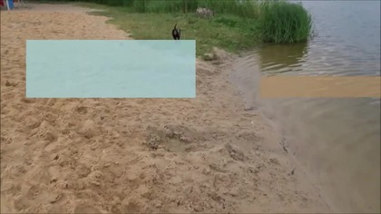 Prezenty na Dzień psa 2021 r