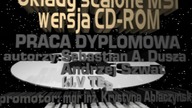 Intro/outro do pracy dyplomowej A.D. 1998 | Świat Seby
