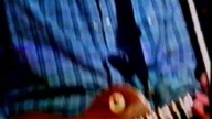 Mark Knopfler - Cannibalis Golden Heart