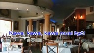 Wiązanka Karaoke 3 najpopularniejsze piosenki o wódce część 1