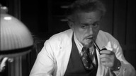 Kruk / Le Corbeau (1943) Lektor PL