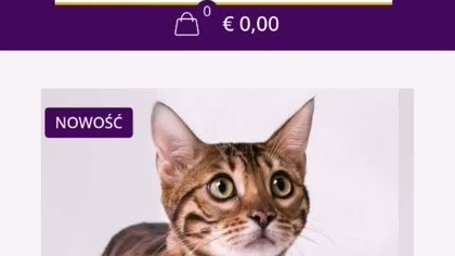 Personalizowany grawer z imieniem Twojego kota lub psa.
