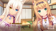 Nekopara Vol.  0 #5- Kompanko (   )