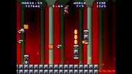 Mario Totem World 6-7 SakuraMotchi 2020