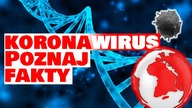 5 skutecznych sposobów walki z koronawirusem.  Poznaj fakty, obal mity!